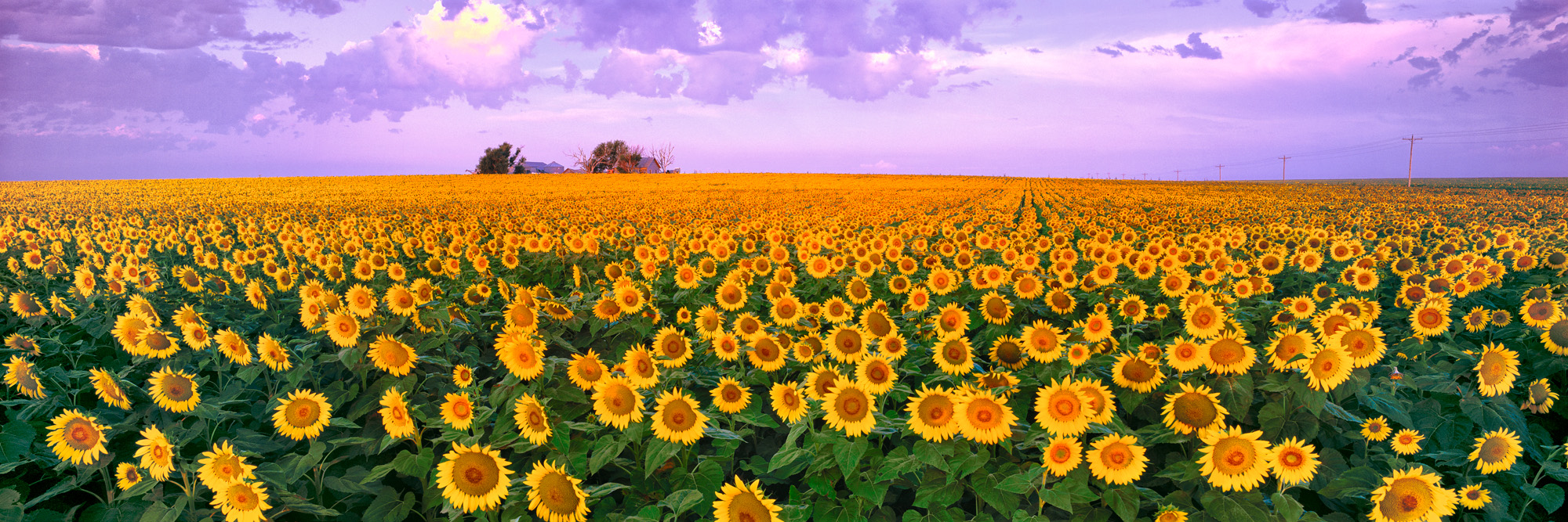 Seize the Day, Kansas by Ken Duncan